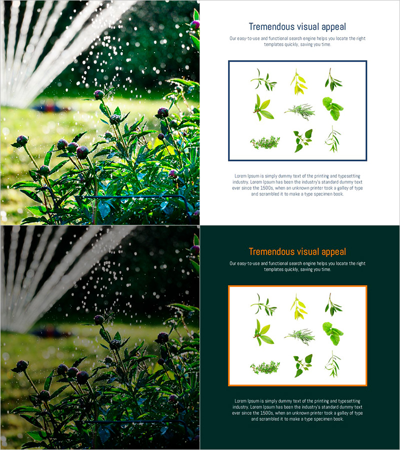 풀의 종류 – 클러스터 다이어그램으로 시각화된 식물군