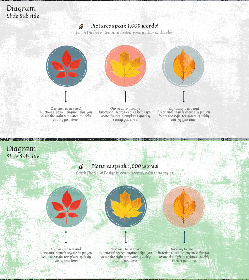 단풍잎 다이어그램 – 제품 특성을 시각화하는 슬라이드