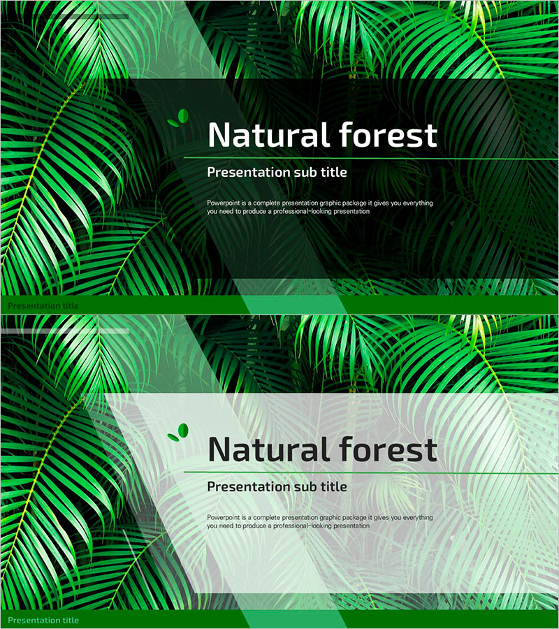 자연 숲 프레젠테이션 와이드 템플릿 표지