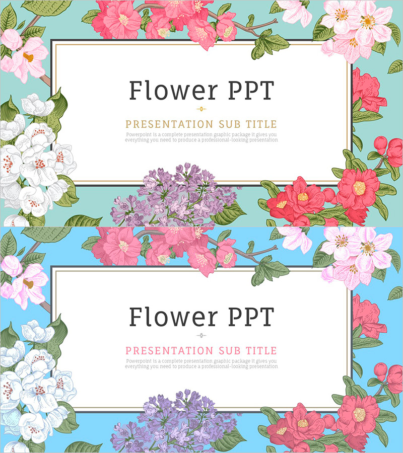 꽃 와이드 PPT 표지 – 자연의 아름다움을 담다