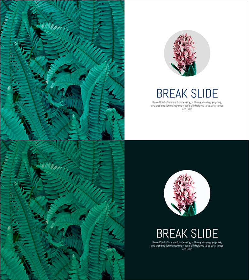 식물원 이미지로 제작한 제품 소개 슬라이드