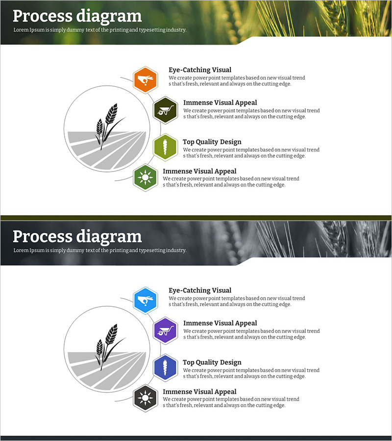 친환경 농업 차별화전략 확산 다이어그램