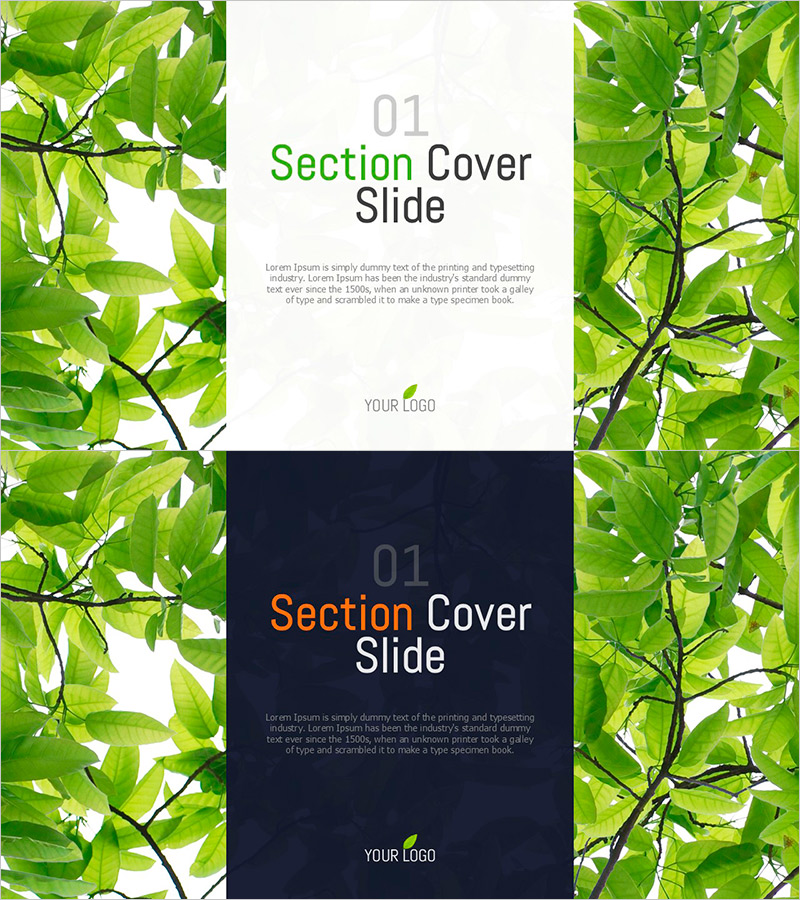 나뭇잎 배경의 섹션 슬라이드 – 자연과 화합