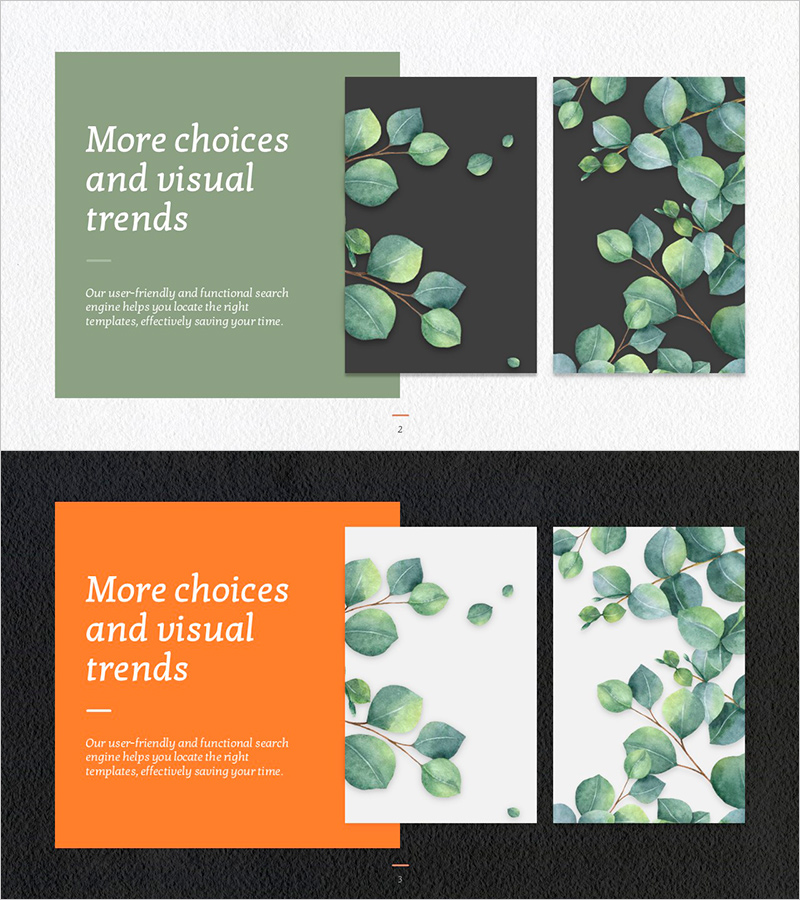 유칼립투스와 텍스트 박스 – 제품 소개 슬라이드