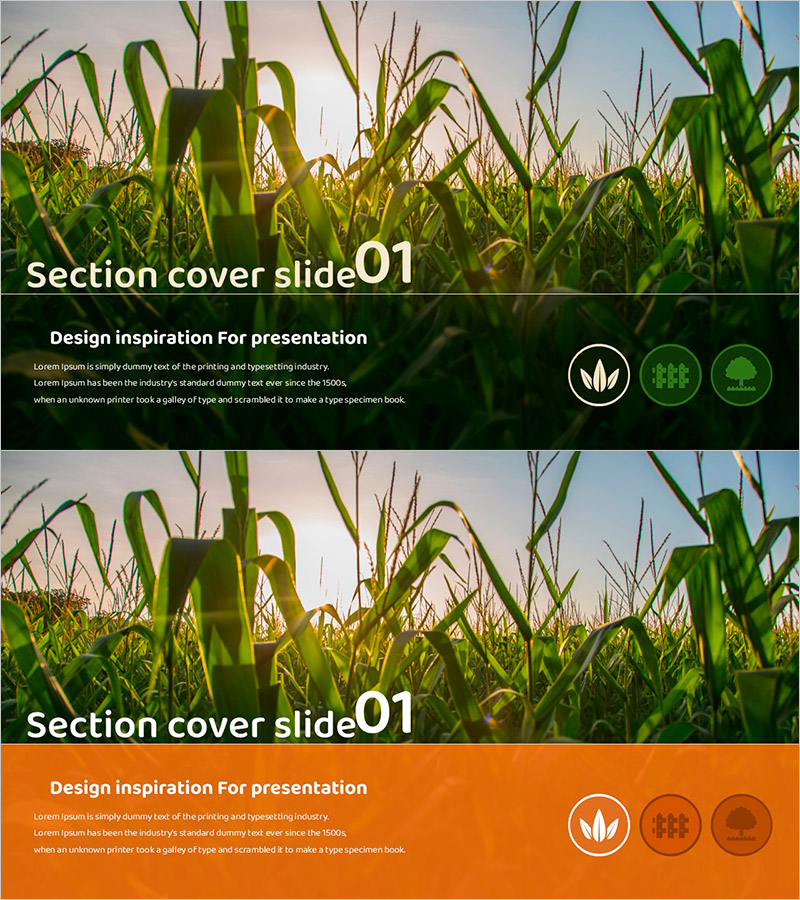 가드닝 와이드 템플릿 간지01 – 자연과 영감을 담은 섹션 커버