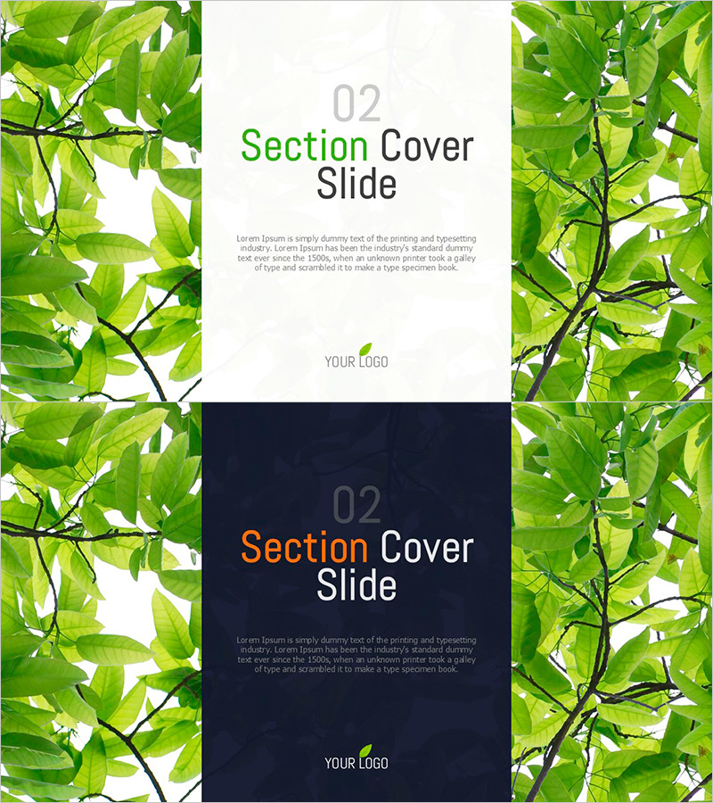 나뭇잎 배경의 섹션 슬라이드 – 자연과의 조화