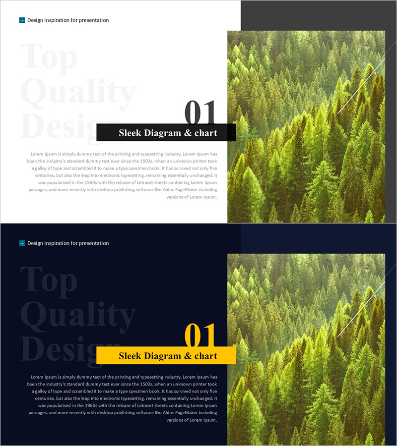 울창한 숲 챕터 – 슬리크한 인트로 슬라이드 디자인