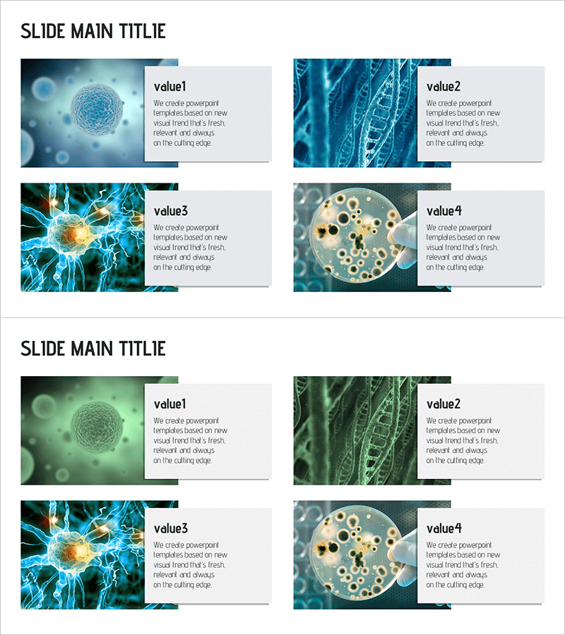 미생물 관련 개념을 전달하는 프레젠테이션 템플릿