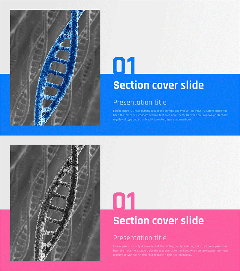 연구 데이터 템플릿 간지 – 효과적인 섹션 소개