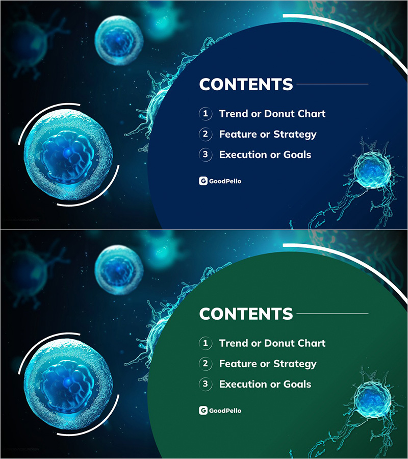 바이오의 역할과 전망 목차
