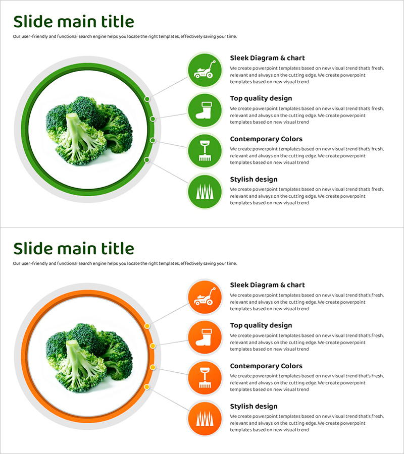 브로콜리 재배 다이어그램 – 효율적인 생산 계획