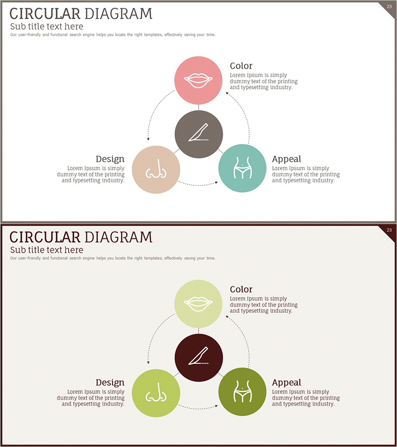 성형수술 사업영역 다이어그램 – 사업 비전과 전략