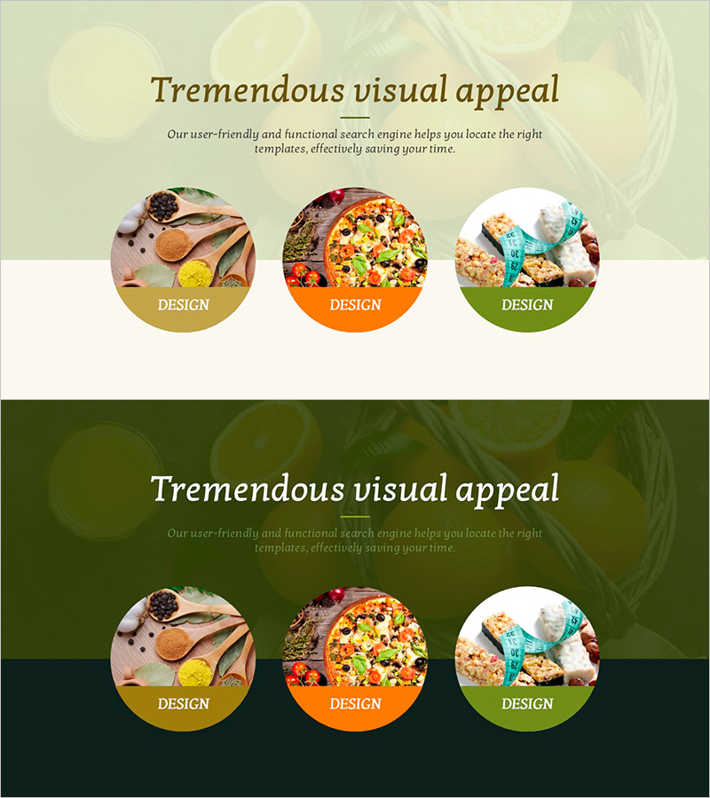 건강한 식재료 선정기준 다이어그램 – 사업 비전 및 전략