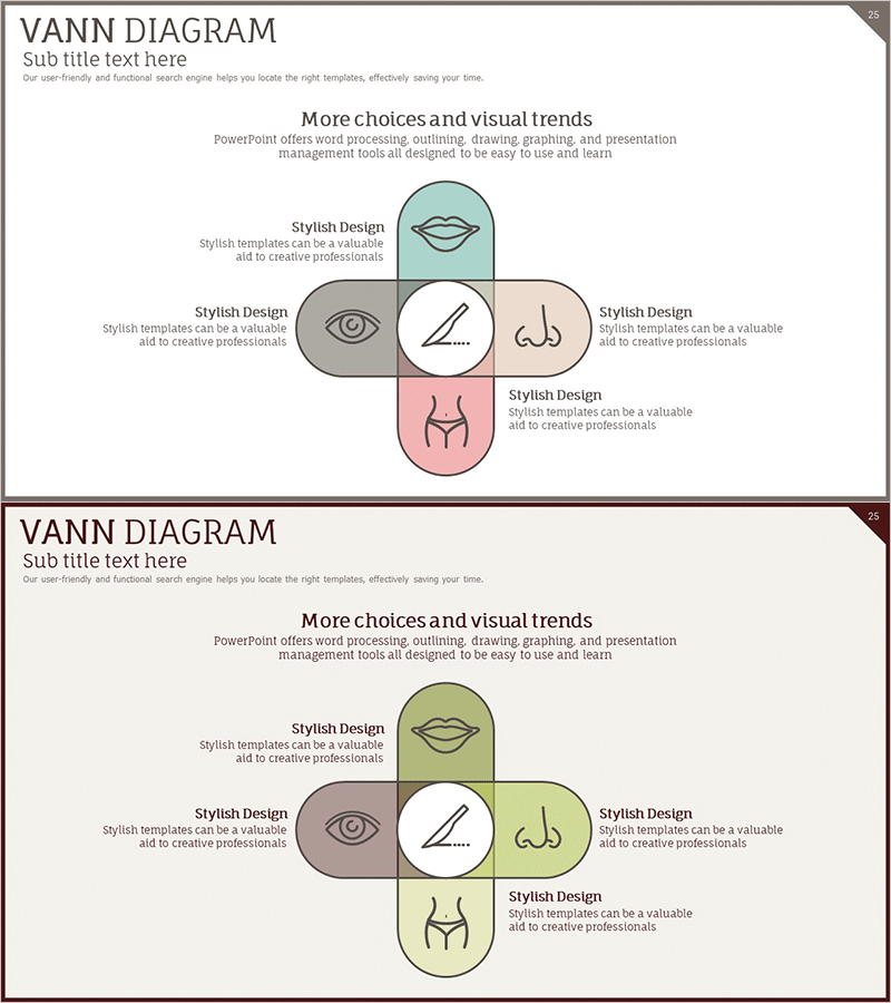 성형수술 사업분야 다이어그램 – 혁신과 미적 조화