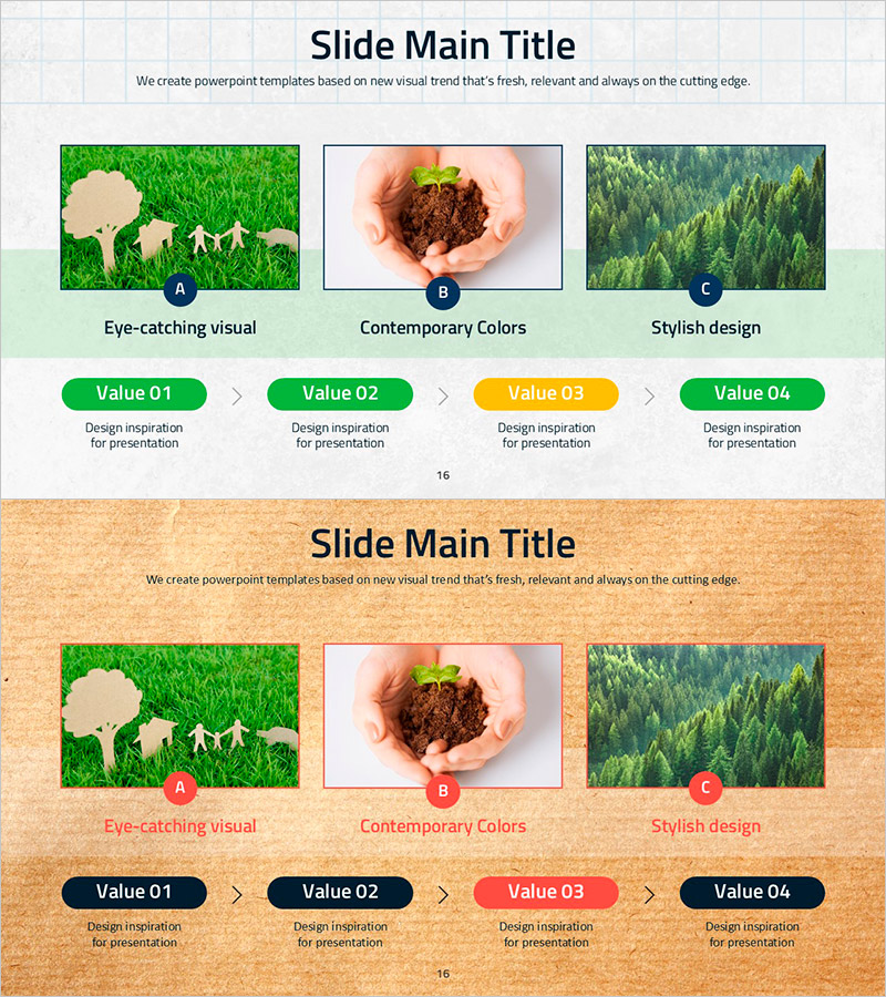 Forest Protection Stage Process – Environmental Protection and Sustainability