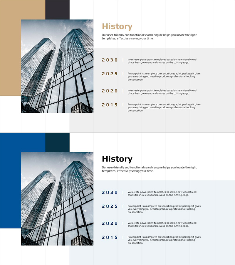 브라운 블루 회사 연혁