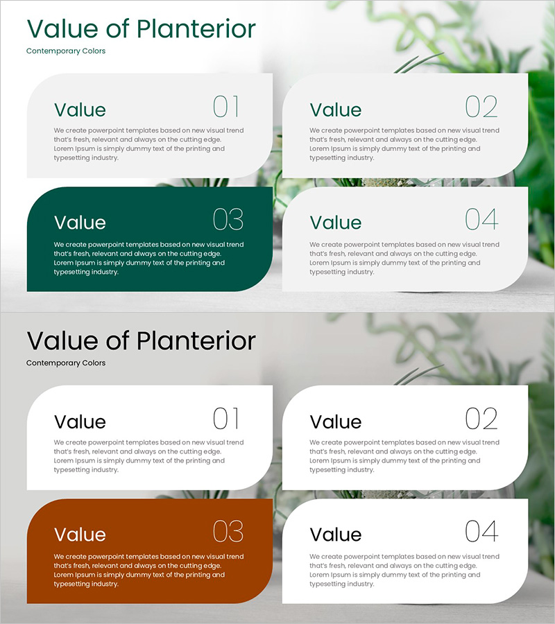 플랜테리어의 특징 및 가치 – 지속 가능한 디자인