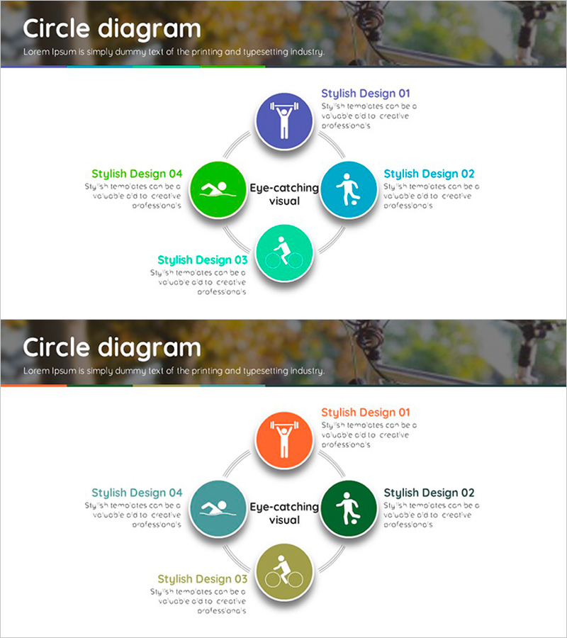 Sport Type Circle Diagram – Product and Service Introduction