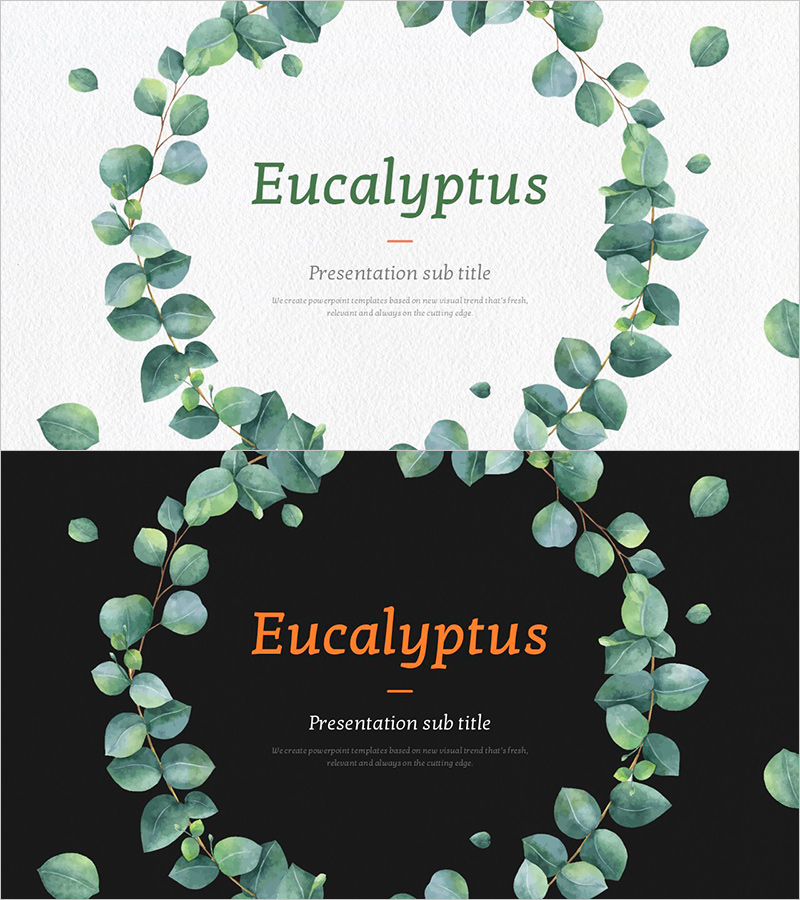 유칼립투스 와이드 템플릿 표지