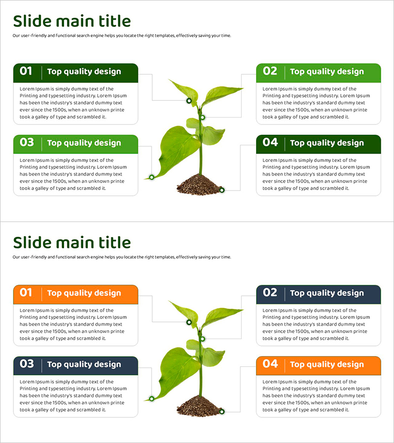 식물의 구조와 기능을 설명하는 다이어그램 슬라이드