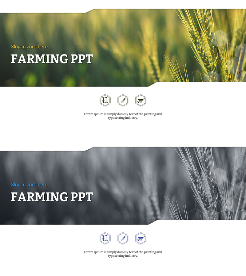 친환경 농업 템플릿 표지 – 지속 가능성 강조