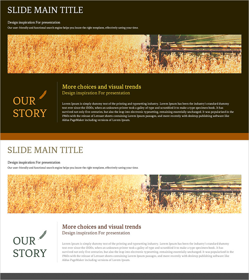 The Story of an Eco-Friendly Company – Vision and Success Strategy