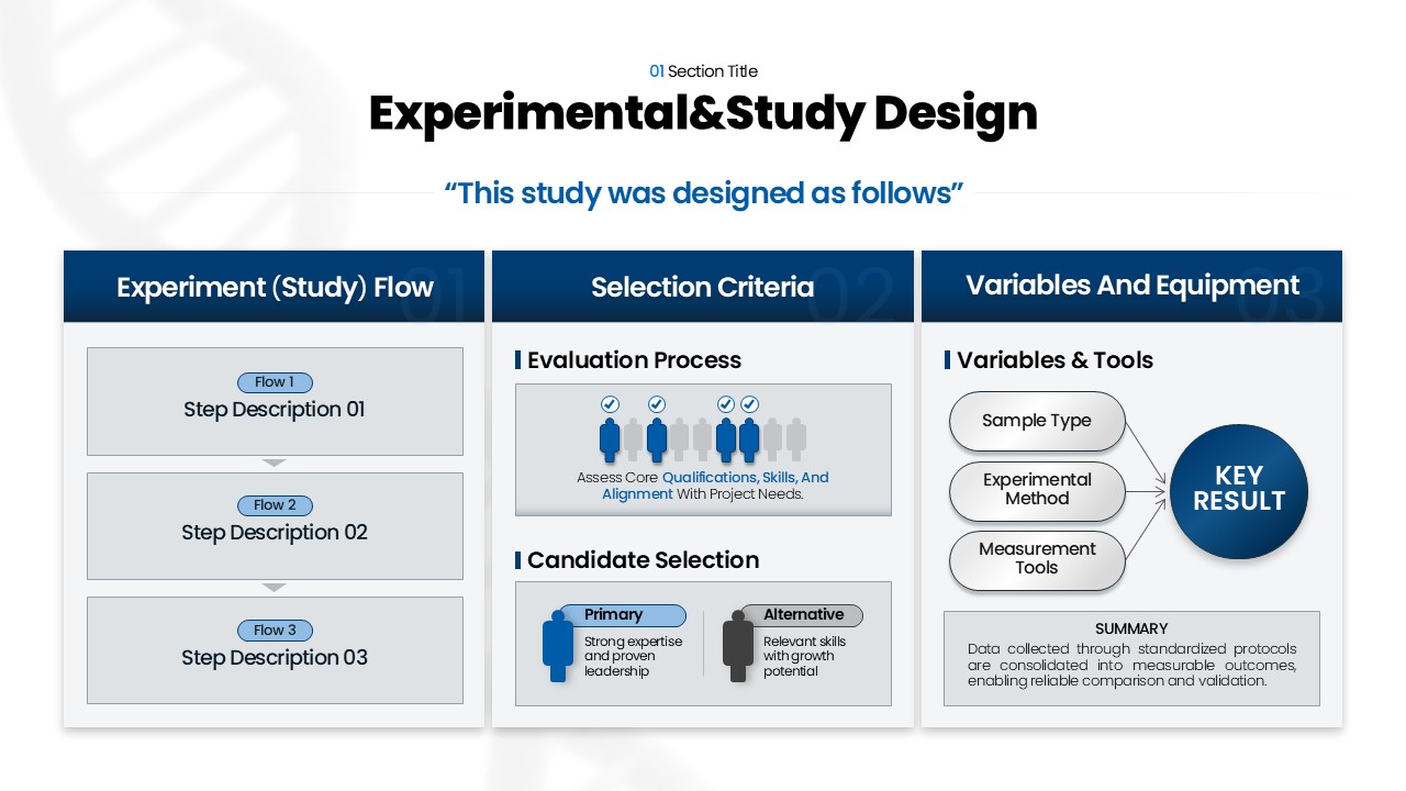 Slide Preview